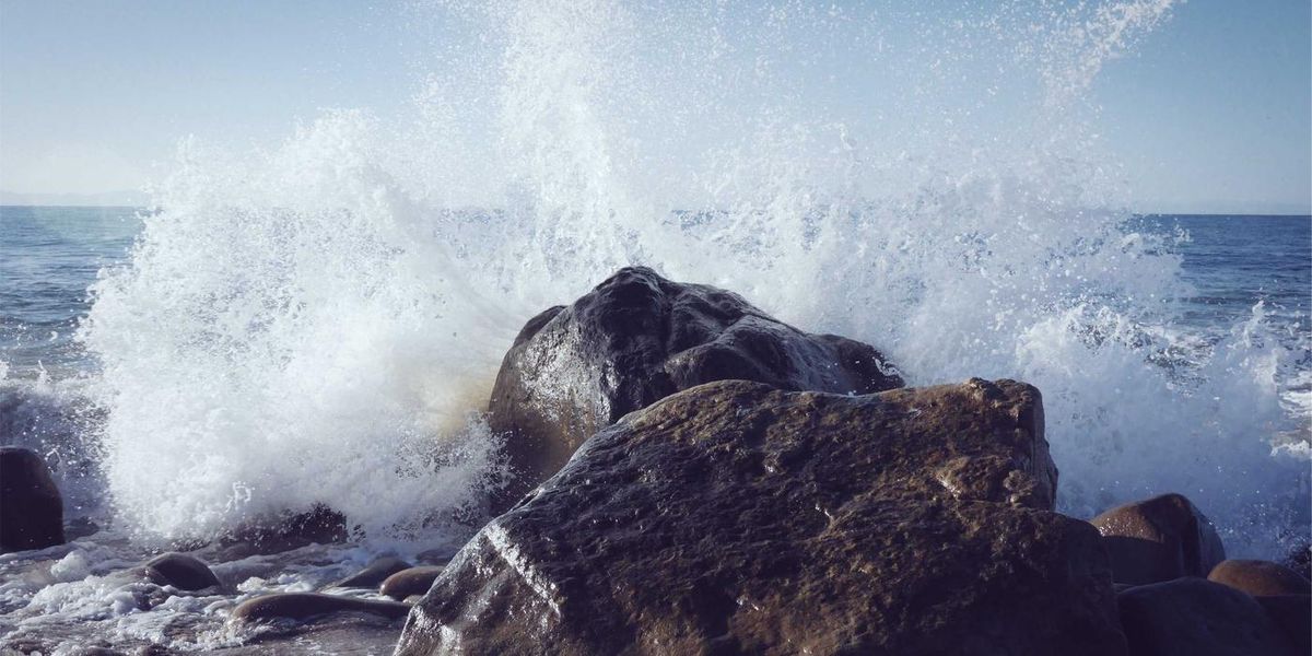 feeding the block — image 903