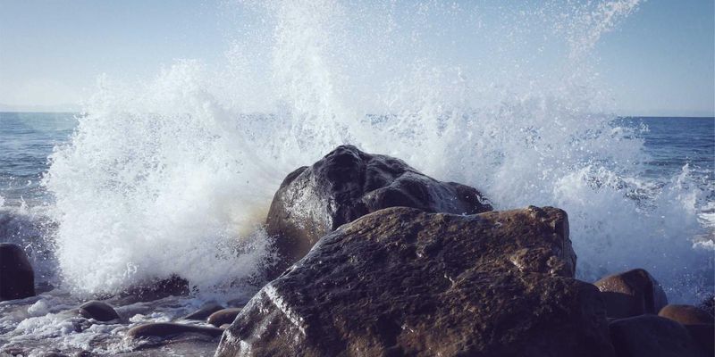 feeding the block — image 903